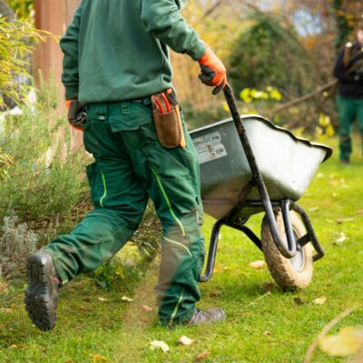 Rethinking Fall garden cleanup practices.