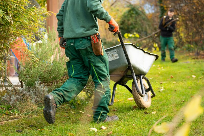 Rethinking Fall garden cleanup practices.