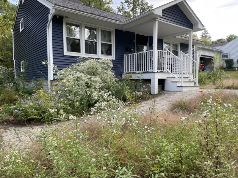 Meadow landscaping